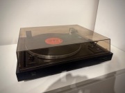Gramofon Dual CS 505-3 Audiophile Concept