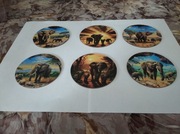 Drewniane podkładki pod kubki 6 sztuk 