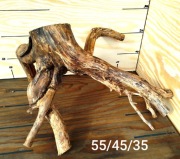 Korzeń do terrarium/akwarium. Suchy. Wstępnie oczyszczony