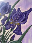 Obraz „Irysy”