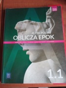 Język Polski oblicza epok 1.1