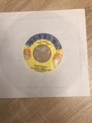 The Jamaica Corporation - Egyptian Reggae / Chinese Reggae. Winyl,7.