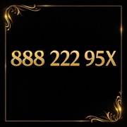 ZŁOTY NUMER PREMIUM | 888 222 95X | IDEALNY DLA BIZNESU | F-VAT | PLUS GSM