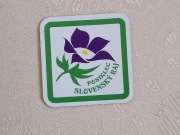 Kwiat sasanka - Słowacki Raj - magnes na lodówkę