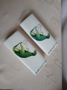 Nawilżacze parowe ceramiczne na grzejnik - 2 szt