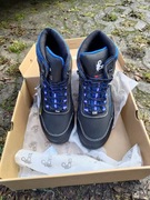 TRZEWIKI CXS DOG MALAMUTE