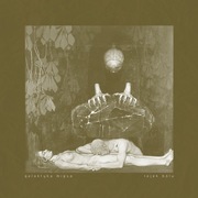 Galaktyka Mięsa | Galaxy Of Flesh - Lejek bólu CD