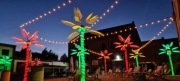Palmy led 