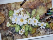 kwiaty wiosna pierwiosnek akwarela obraz 