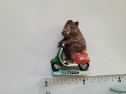 Magnes na lodówkę - 794f. VOLTERRA Włochy