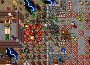 Tibia OTS Server Installacja