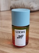 Loewe Paula's Ibiza edt 50ml