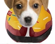  Ducomi Nadmuchiwany kołnierz dla psa i kota L