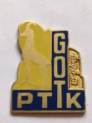 Odznaka dziecięca GOT Górska Odznaka Turystyczna - W GÓRY - ZŁOTA 