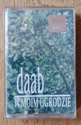 Daab - W Moim Ogrodzie - MTJ 006