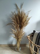 Trawa naturalna, boho