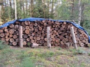 Sosnowe drewno na opał, Podlasie