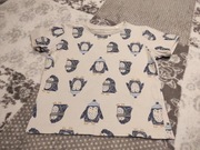 cool club bluzka z pingwinkami r. 98