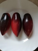 Pomidor Ślivka Gurman 