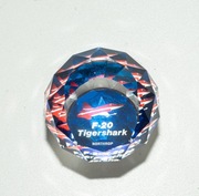 Lotnictwo Przycisk do papieru Swarovski F 20 Tigershark