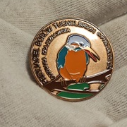 Odznaka Krajoznawcza PTTK Przyjaciel Borów Tucholskich 