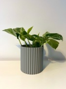 Doniczka Donica Słupki Szara Ø11,5cm