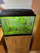 Akwarium 30x60x45cm (~70 litrów)