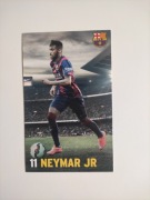 Fan karta Neymar JR FC Barcelona 