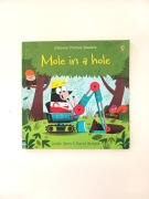 Mole in a hole książka po angielsku dla dzieci usborne phonics readers