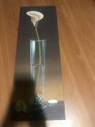 Obraz Turkowiak 70x25 cm