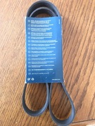 PASEK WIELOROWKOWY 6PK1217