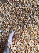 Kukurydza 25kg dla kur gołębi czyszczona 