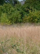 Działka Wolica k.Kielc