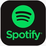 Premium 12 Miesięcy 