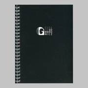 Witold Gombrowicz Notes z cytatami