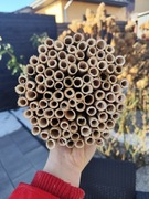 Rurki trzcinowe dla murarki 8mm+