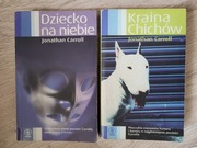 Kraina Chichów Dziecko na niebie Jonathan Carroll