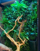 Repti-Zoo Terrarium 60x45x90 | Kompletny Zestaw