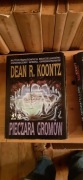 Pieczara gromów Dean R. Koontz