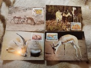 Libia 1987 KARTY MAXIMUM Mi 1753-1756 gazele**czyste