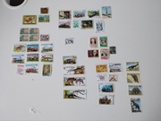 Zestaw znaczków z egzotycznych krajów Togo Kuba Kambodża  Kongo Urugwaj