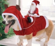 Idepet kostium Christmas pies z Mikołajem jadącym święta Boże Narodzenie 