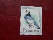 Węgry 1969 MNH Mi. 2562 Fauna Ptaki Gołąb