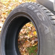 Opony Dębica letnie 205/55/16