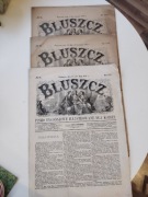 XIX wieczny magazyn dla kobiet Bluszcz, nr 22,23,25 1888 rok