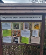 Tablica, stelaż edukacyjny, zabawa