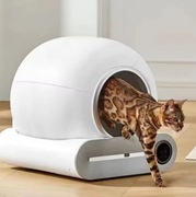 Inteligentna automatyczna kuweta dla kota XXL