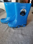 Kalosze dziecięce firma Demar roz 26/27