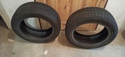Używane opony zimowe 2 szt. Sava eskimo hp2 195/55 R15