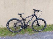 Rower RADON ZR team 50